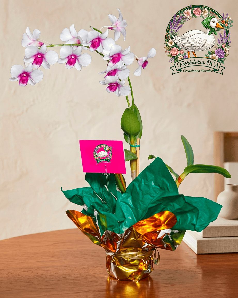 Detalle Floral de cymbidium