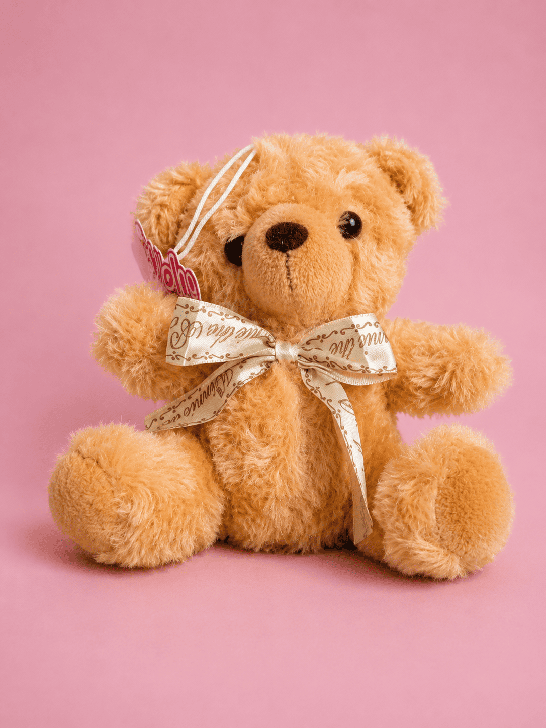 Peluche Osito Dorado