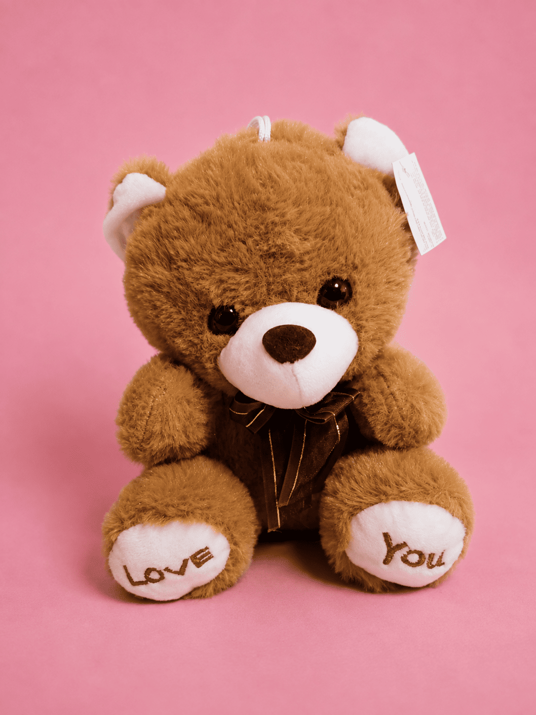 Peluche Osito Love You