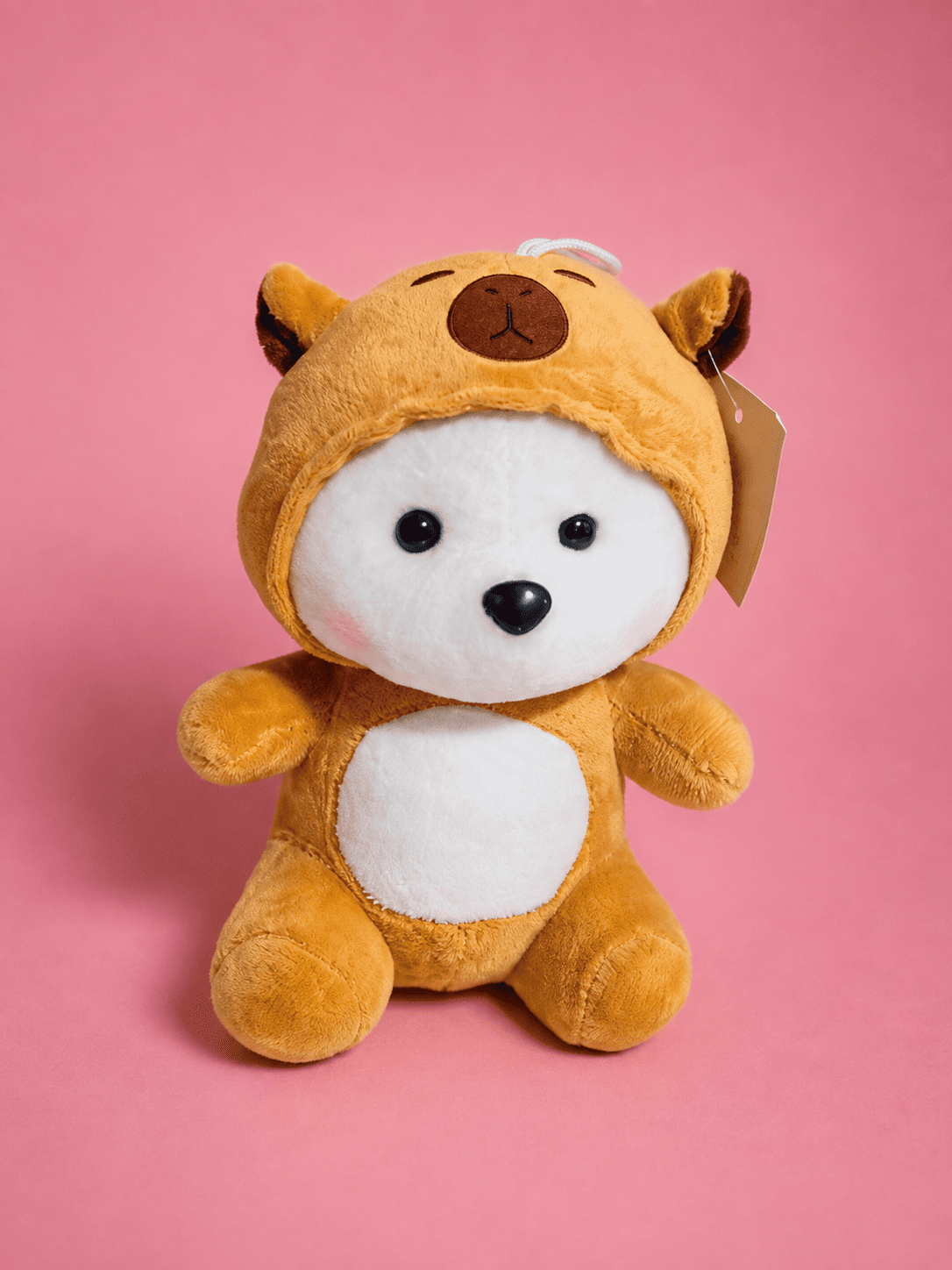 Peluche Perrito Disfraz de Oso